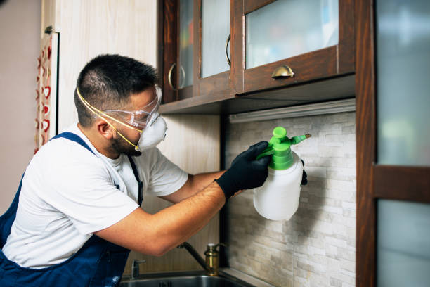 Best Pest Removal Services  in Eyota, MN