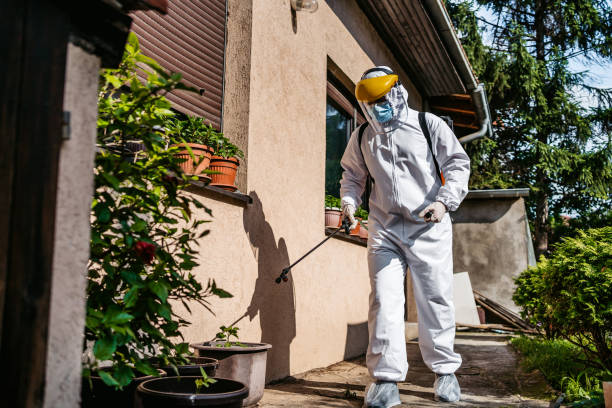Best Flea Control Services  in Eyota, MN