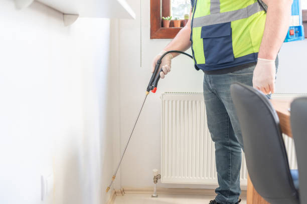 Best Pest Control Near Me  in Eyota, MN