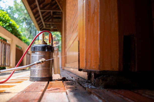 Best Exterminator Services  in Eyota, MN