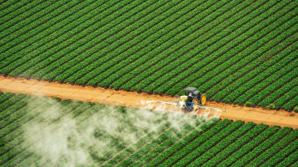 Best Pest Prevention Services  in Eyota, MN
