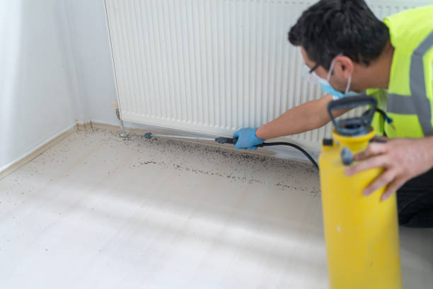 Best Affordable Pest Control Services  in Eyota, MN